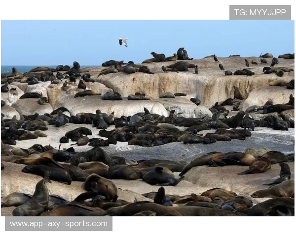 探寻世界著名足球俱乐部发展历史与文化影响的深度观察视野拓展行