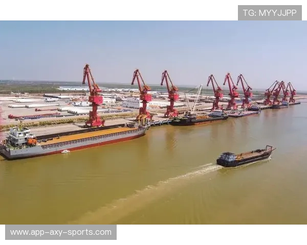 盐城大丰港战队崛起背后探索 竞技与城市发展共融的新篇章