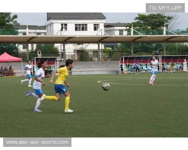 绿茵逐梦激情绽放世界足球运动的荣耀与传奇