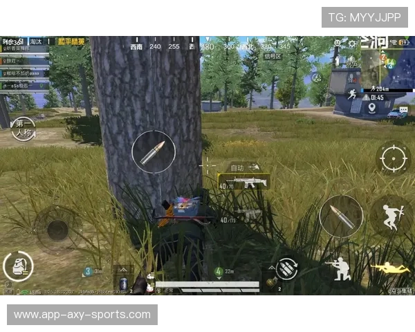 和平精英专题：聚焦TES的个人能力