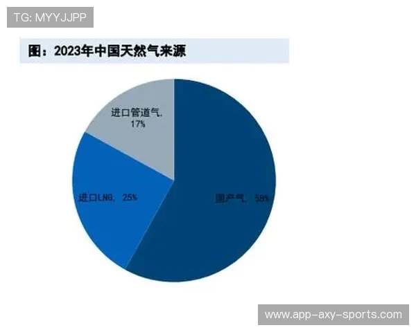 数据分析揭示LNG运输速度表现及其对市场的影响与未来趋势