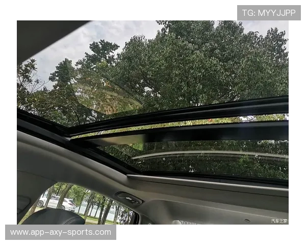 深圳滑板队与武汉滑板队赛后复盘力量对决的精彩瞬间与深刻启示